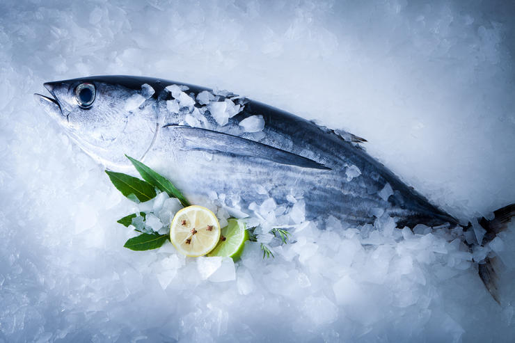 Сам себе эксперт: как выбрать замороженную рыбу - foodandmood.com.ua