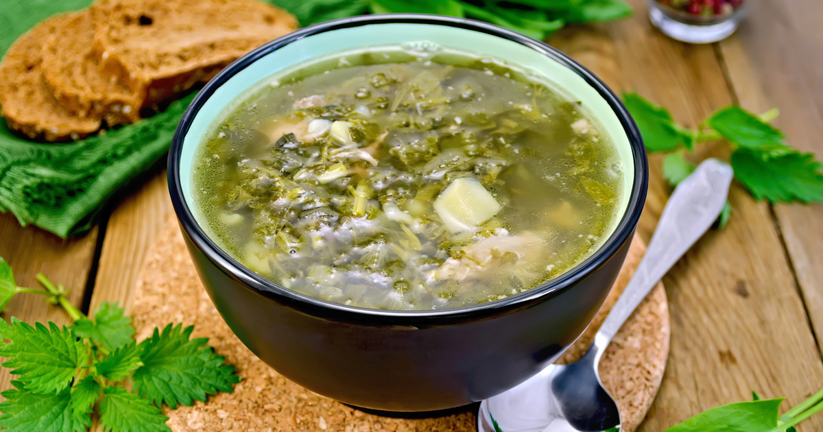 Картинка щи из крапивы