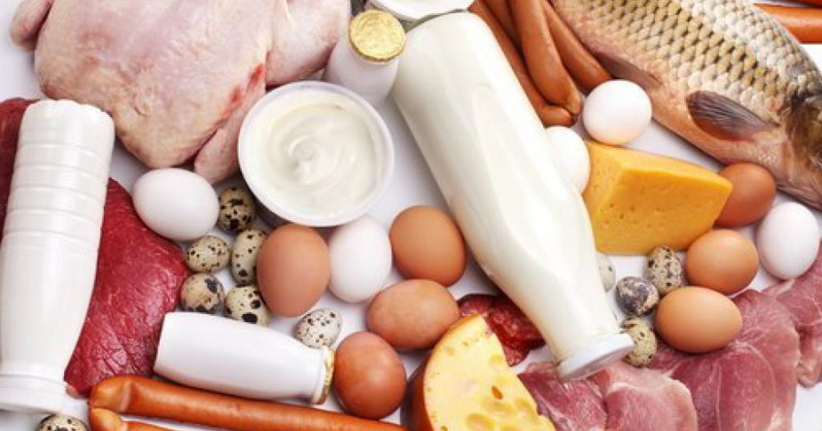 Белковая пища: можно или нельзя - foodandmood.com.ua