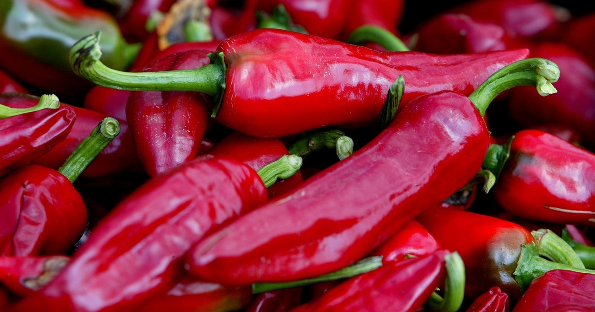 Перец чили: как использовать с пользой - foodandmood.com.ua