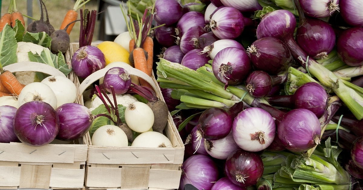 Каким бывает лук - foodandmood.com.ua